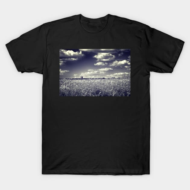 Following Dreams T-Shirt by InspiraImage